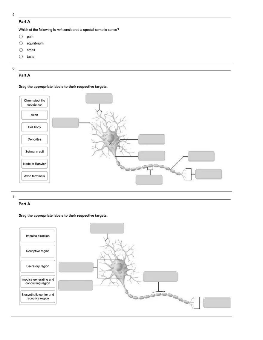Nerve Transmission and Neural Cell Functions - Page 3