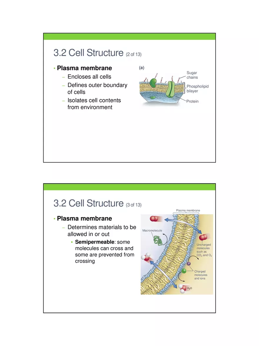 Cells Out of Control Lecture 3 - Page 2