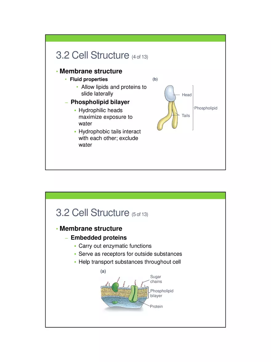 Cells Out of Control Lecture 3 - Page 3
