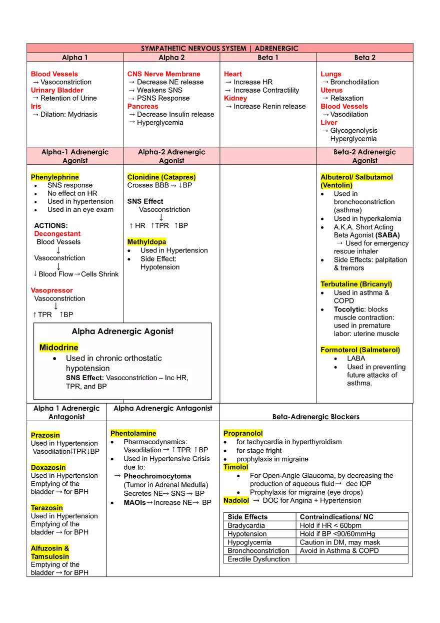 Pharmacodynamics, Pharmacokinetics, and Neurotransmitters - Page 3