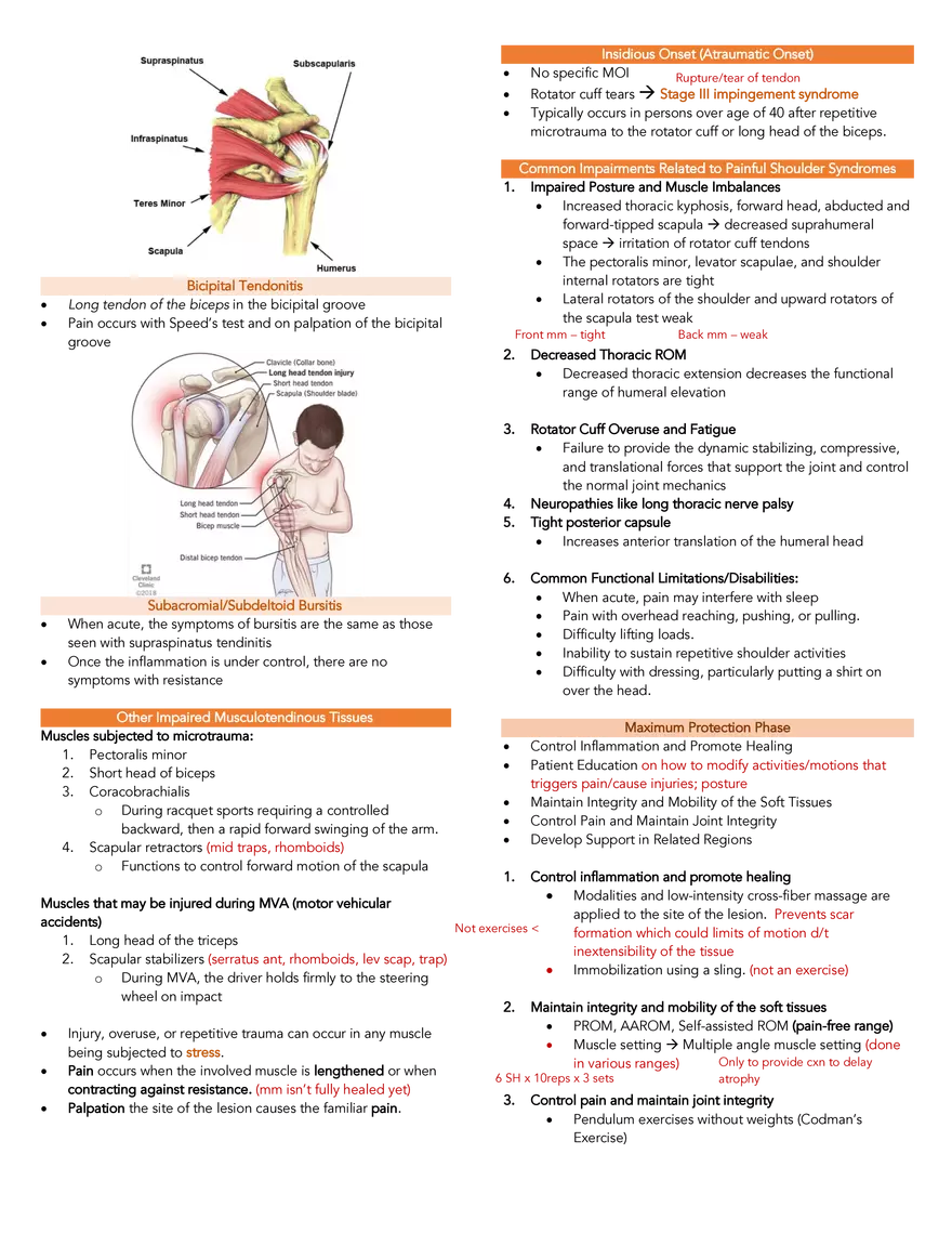 Painful Shoulder Syndromes - Page 3