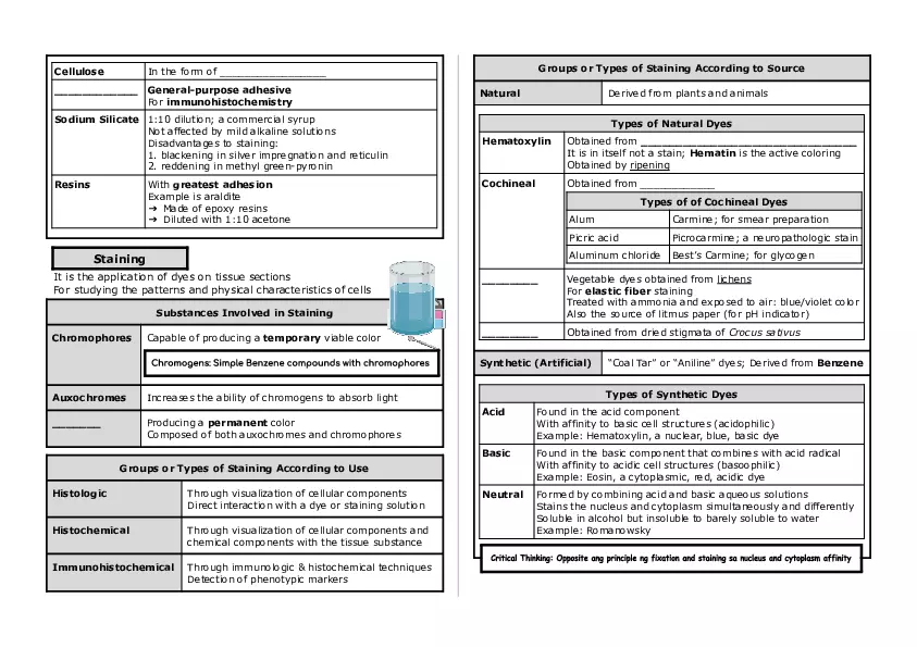 Basic Histology Part 3 - Page 2