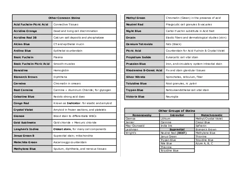 Basic Histology Part 3 - Page 5