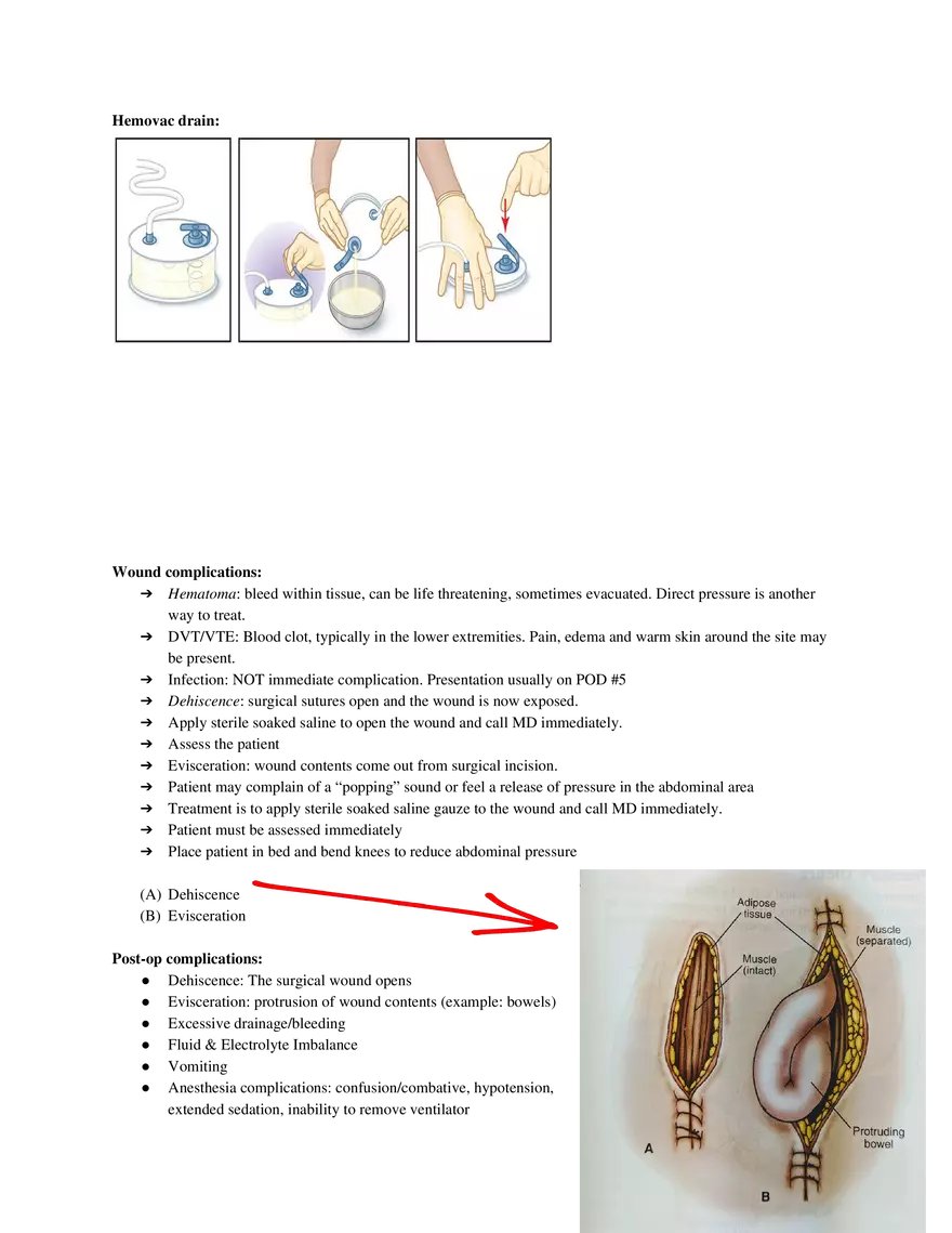 Preoperative Considerations and Surgical Team Roles Part 1 - Page 8