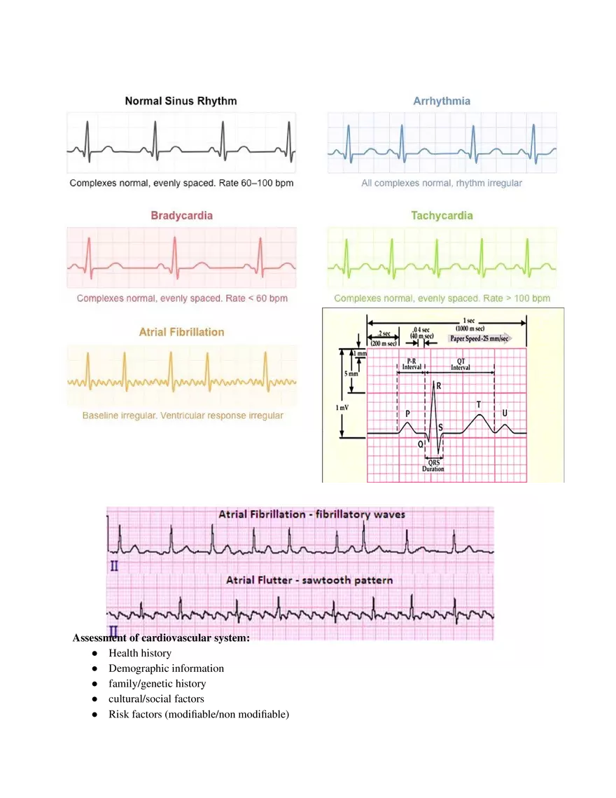 Preoperative Considerations and Surgical Team Roles Part 1 - Page 11