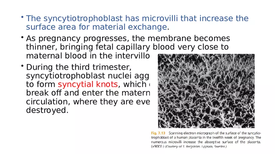 Placenta, Extraembryonic Membranes, and Multiple Pregnancies Part 3 - Page 8