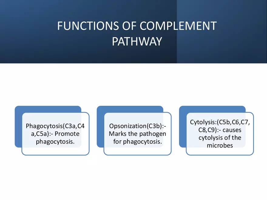 Humoral Immunity Complement System And Antibodies - Page 8