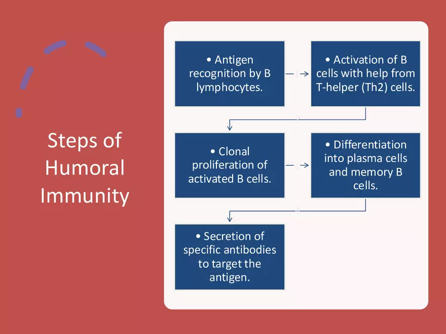 Humoral Immunity Complement System And Antibodies - Page 2