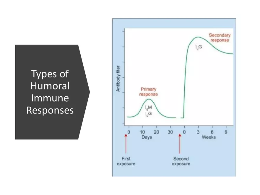 Humoral Immunity Complement System And Antibodies - Page 5