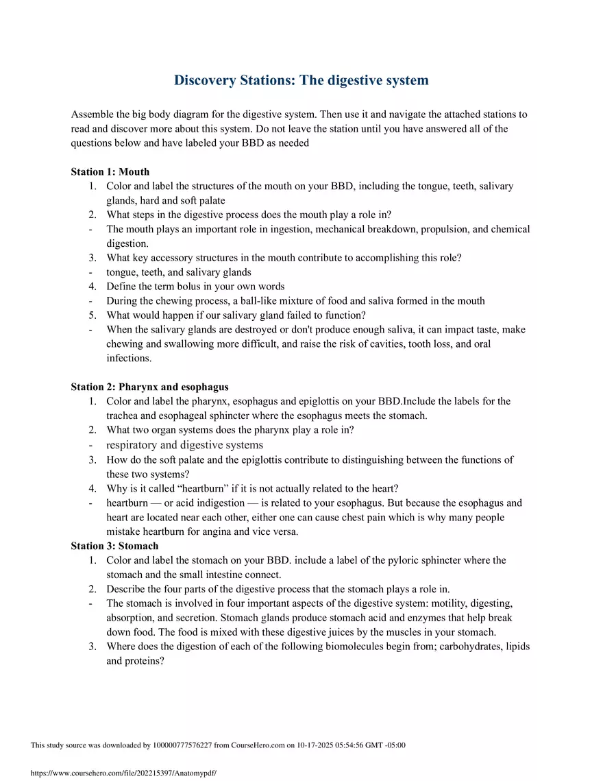 Discovery Stations: The digestive system - Page 1