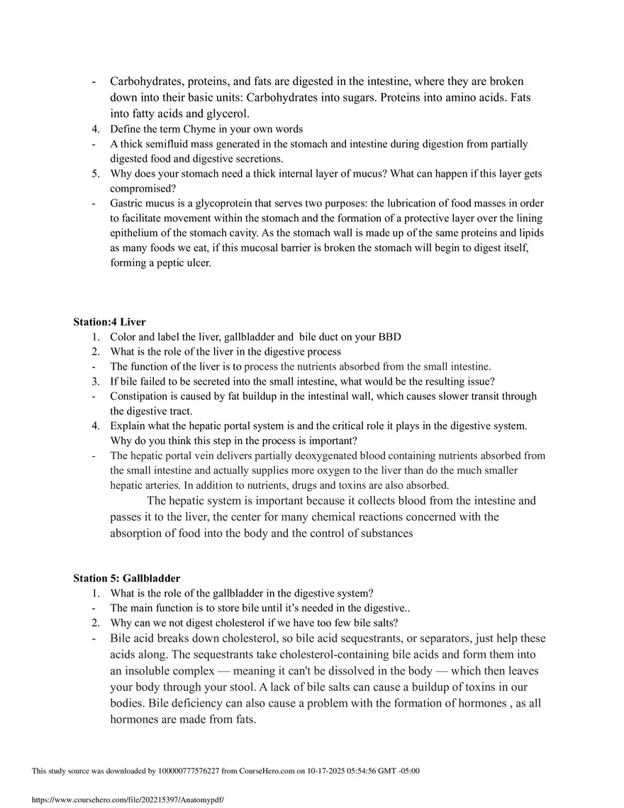 Discovery Stations: The digestive system - Page 2