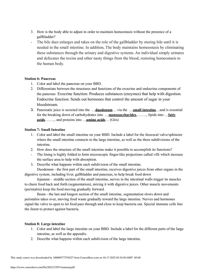 Discovery Stations: The digestive system - Page 3