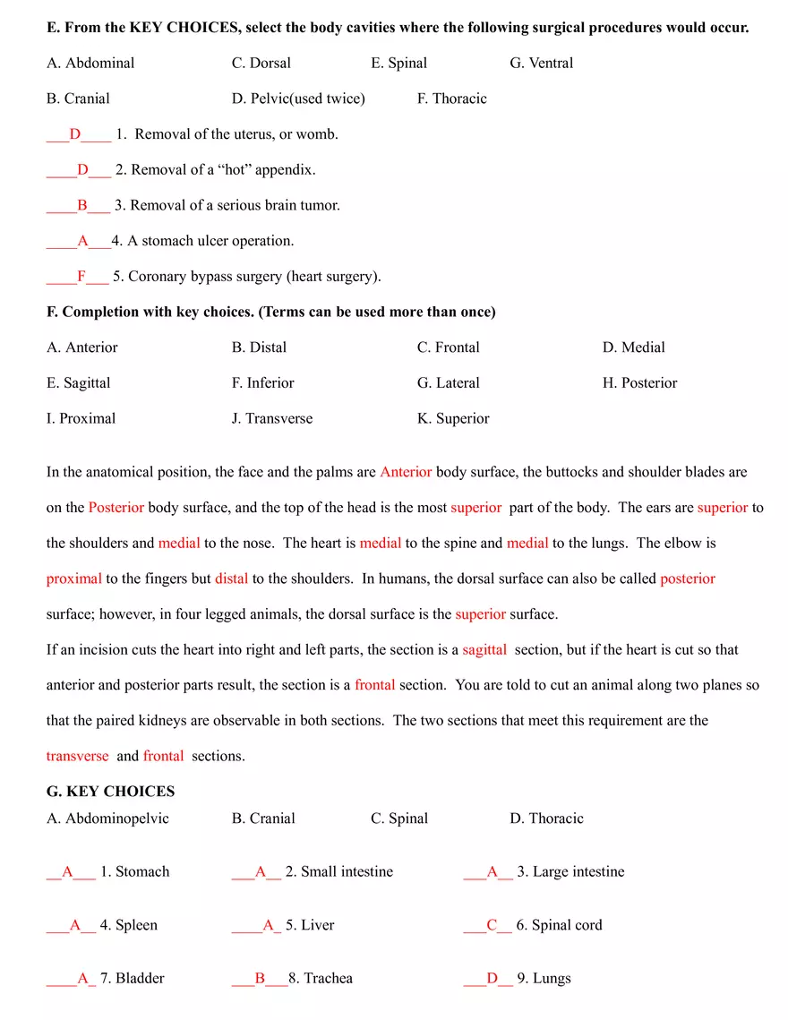 The Language of Anatomy Practice - Page 3