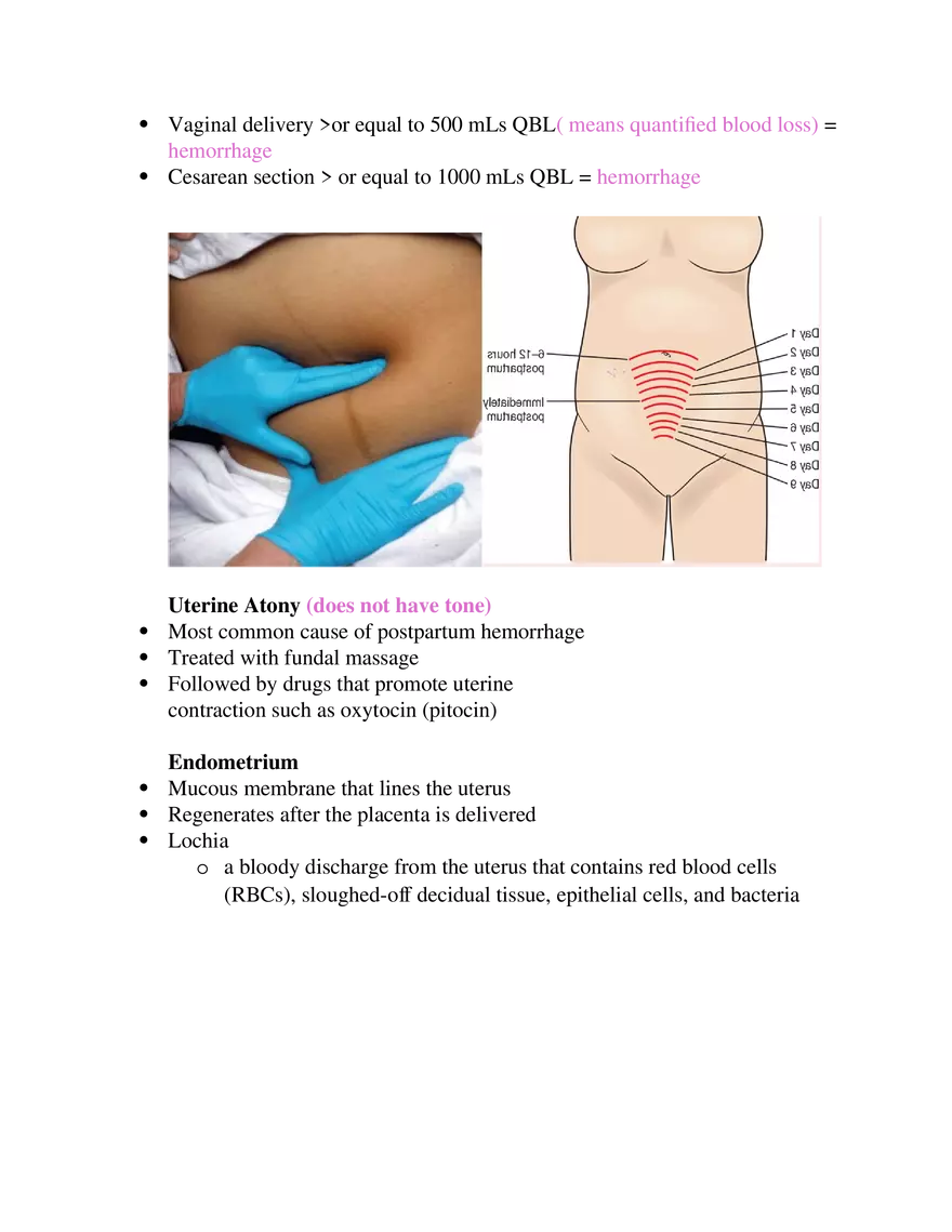 Postpartum Assessment and Immunization Guidelines Part 1 - Page 3