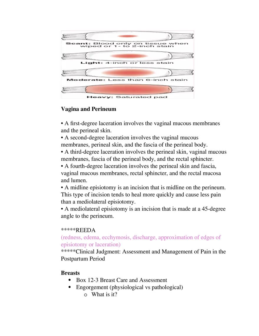 Postpartum Assessment and Immunization Guidelines Part 1 - Page 5