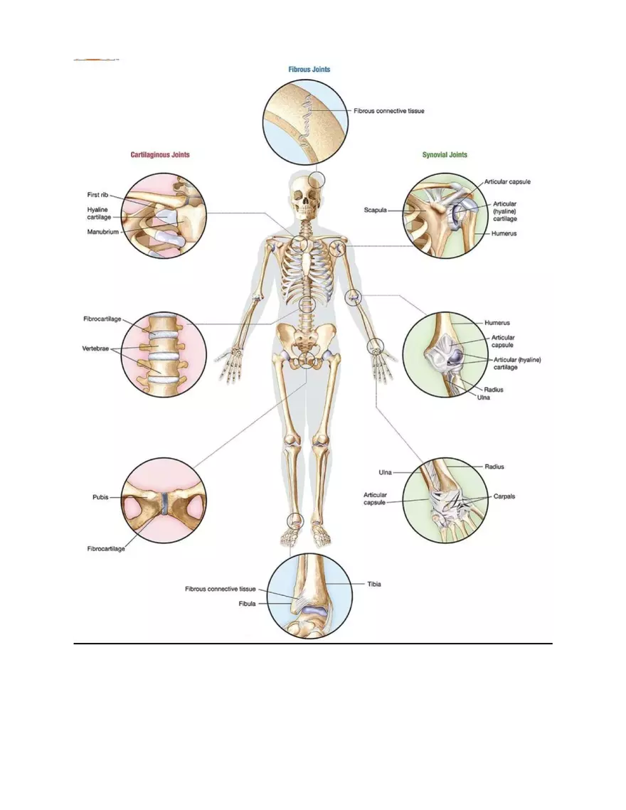 Joints and Articulation - Page 2