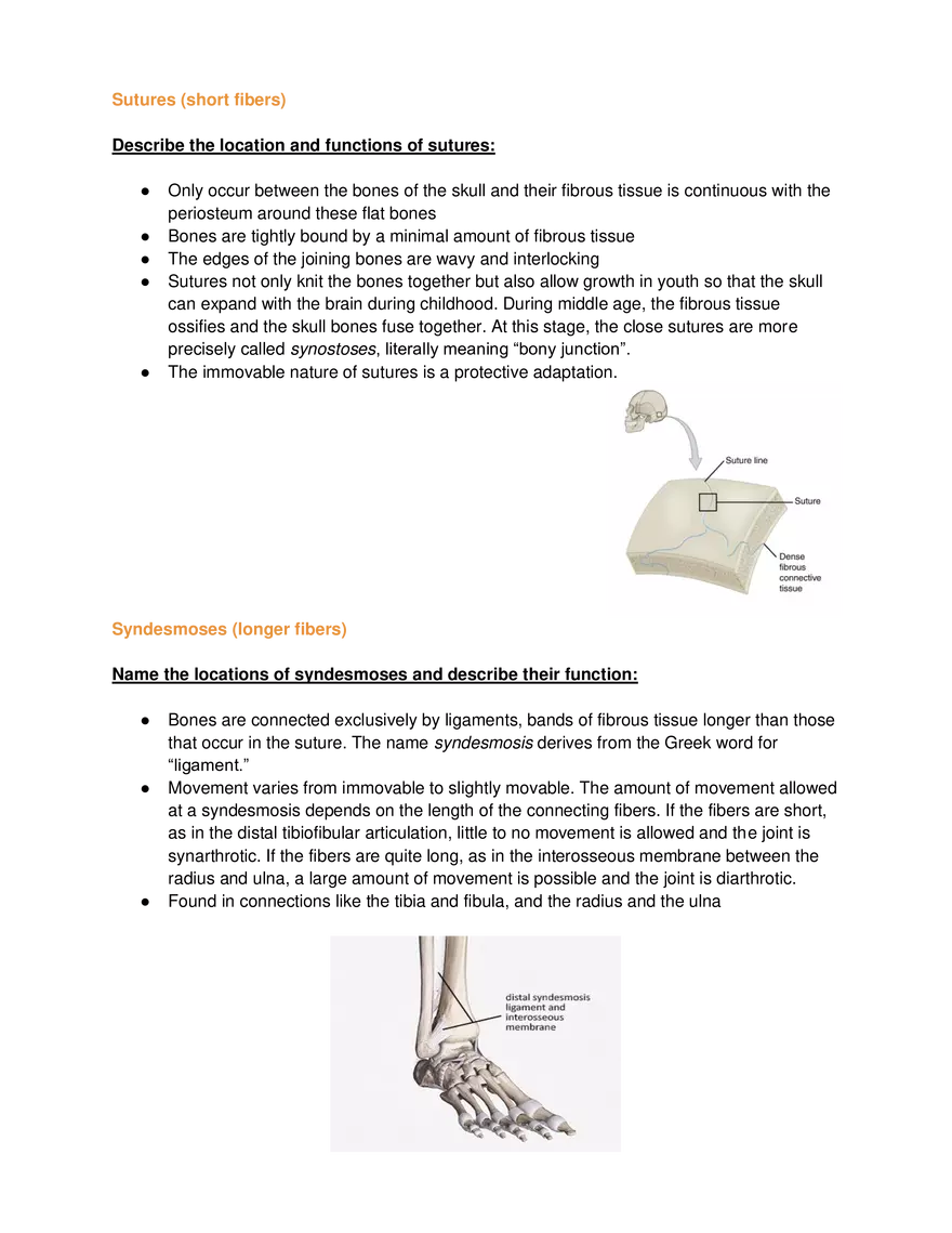 Joints and Articulation - Page 4