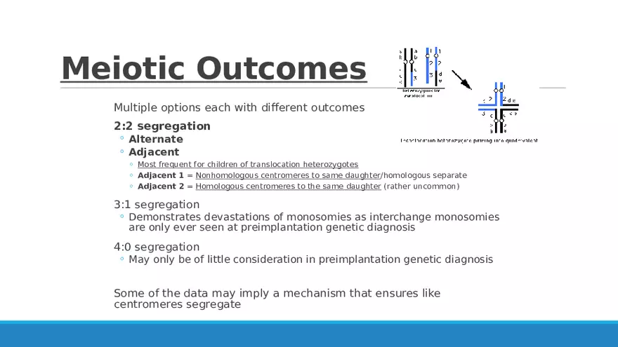 Summary of Aneuploidies Part 2 - Page 7