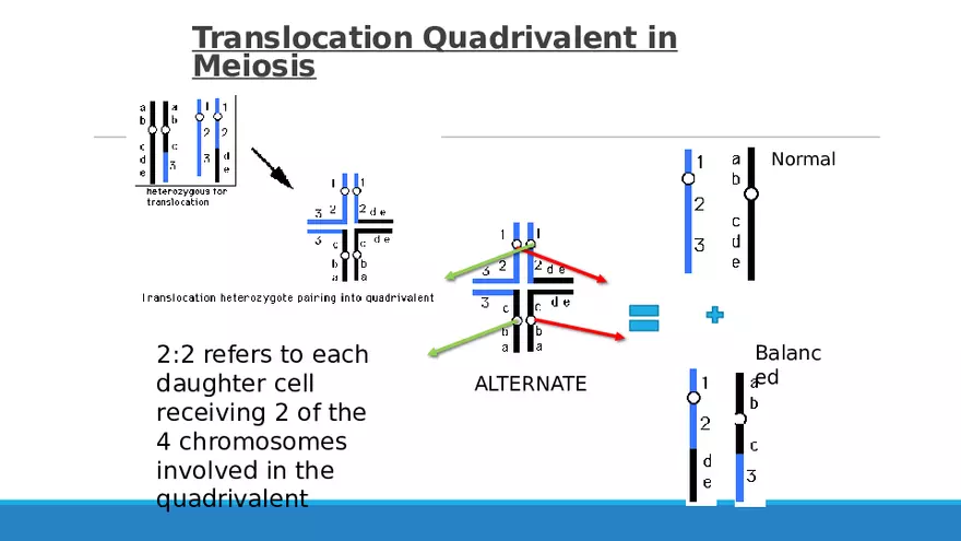 Summary of Aneuploidies Part 2 - Page 8