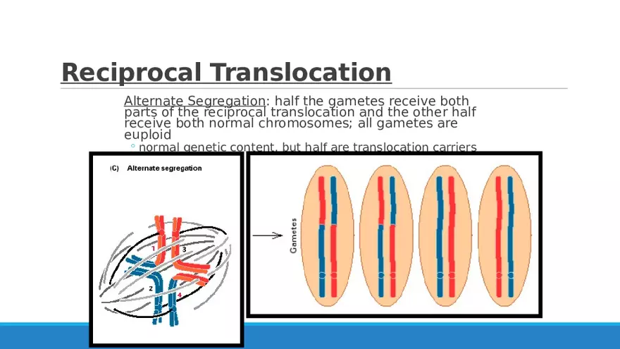 Summary of Aneuploidies Part 2 - Page 9