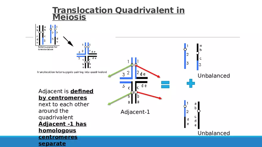 Summary of Aneuploidies Part 2 - Page 10