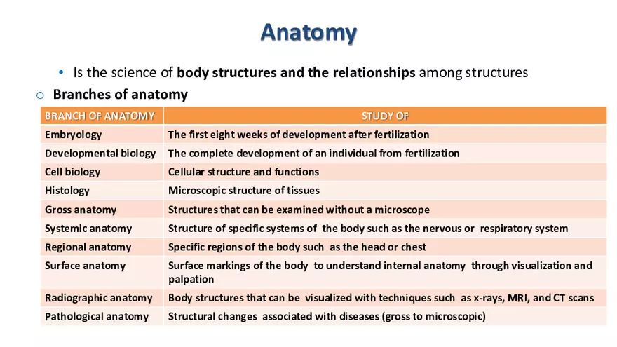 Integrated Biological Sciences (Human Body) - Page 3