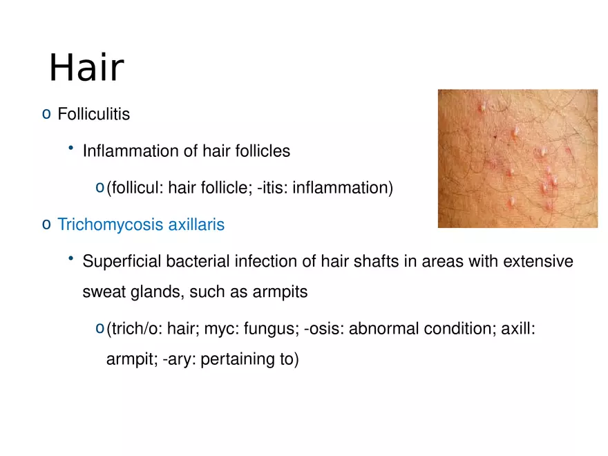 The Integumentary System Lecture (Hair) - Page 9
