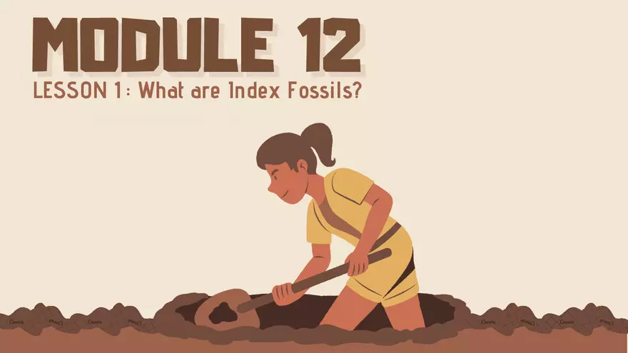 What are Index Fossils - Page 1