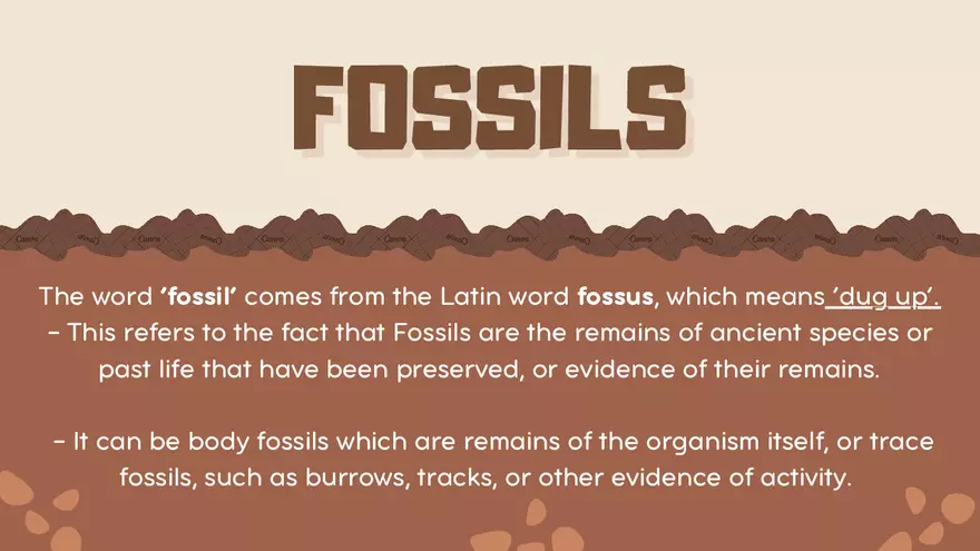 What are Index Fossils - Page 3