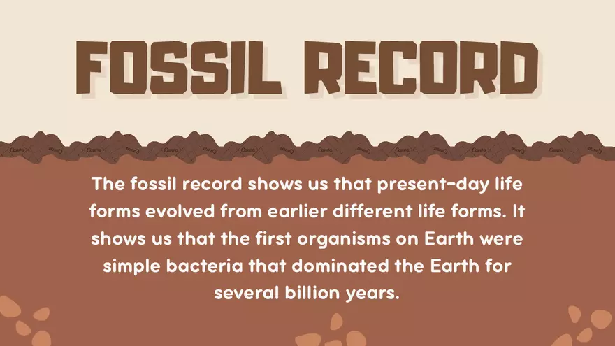 What are Index Fossils - Page 4