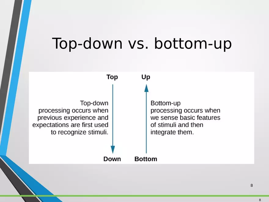 Sensation and Perception Lecture 1 - Page 8