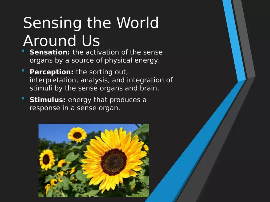 Sensation and Perception Lecture 1 - Page 2