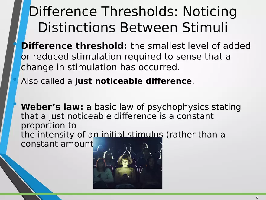 Sensation and Perception Lecture 1 - Page 5
