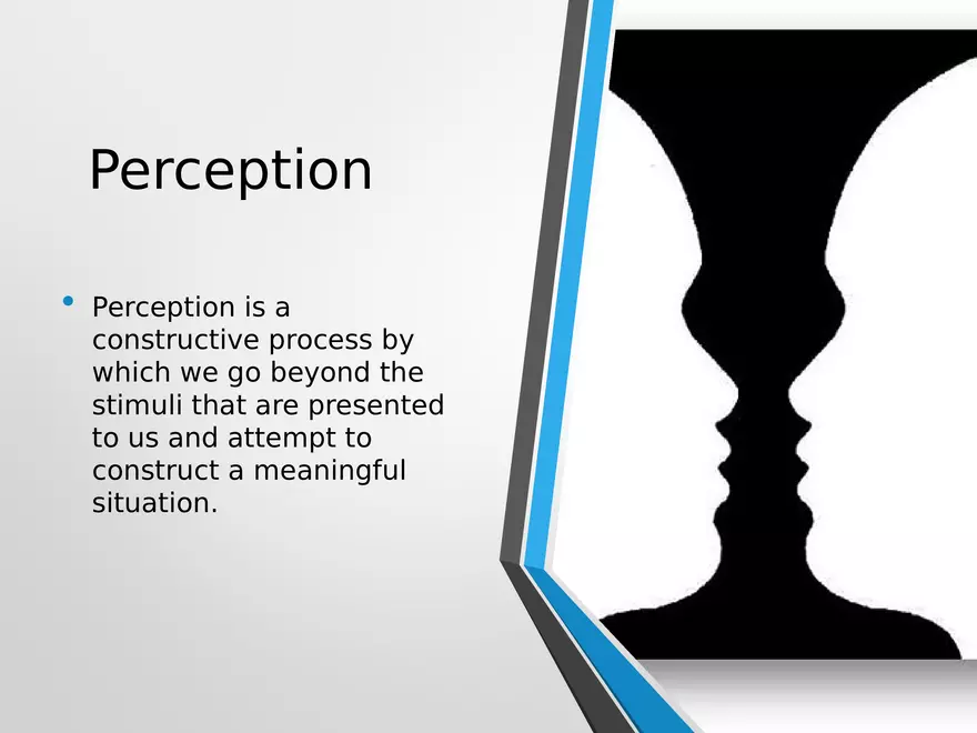 Sensation and Perception Lecture 1 - Page 6