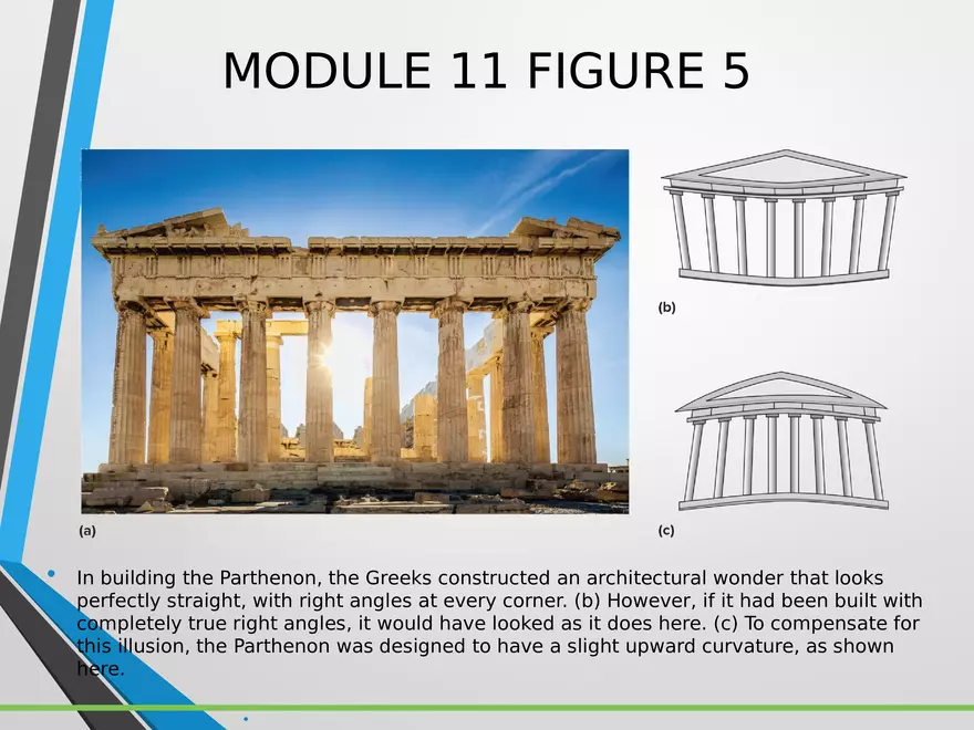 Sensation and Perception Lecture 2 - Page 8