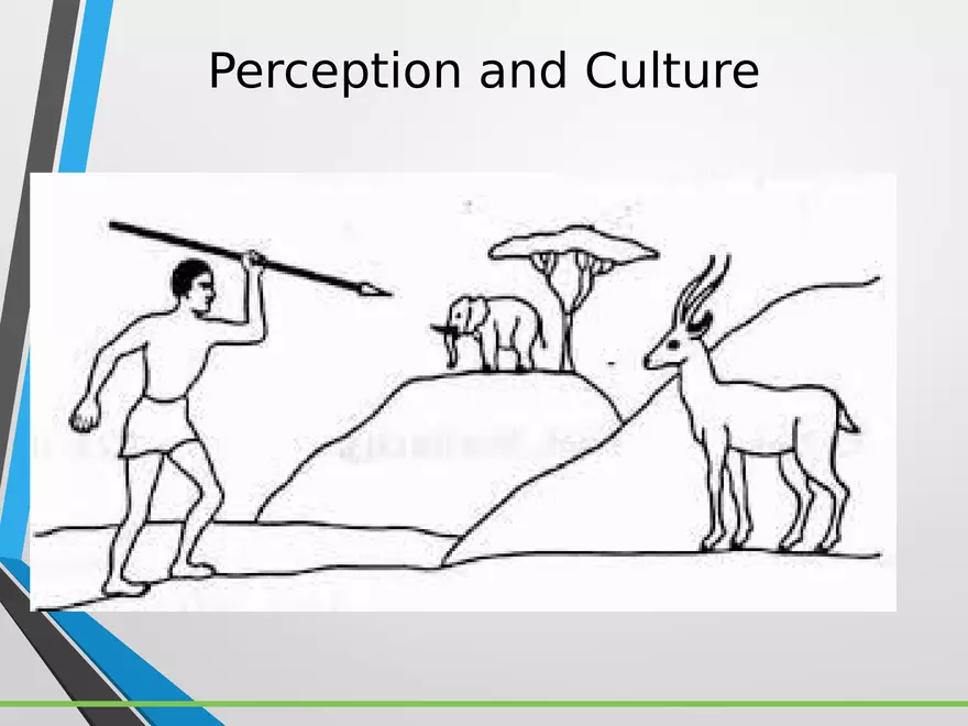 Sensation and Perception Lecture 2 - Page 10
