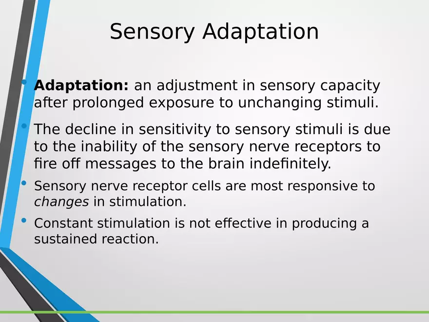 Sensation and Perception Lecture 2 - Page 2