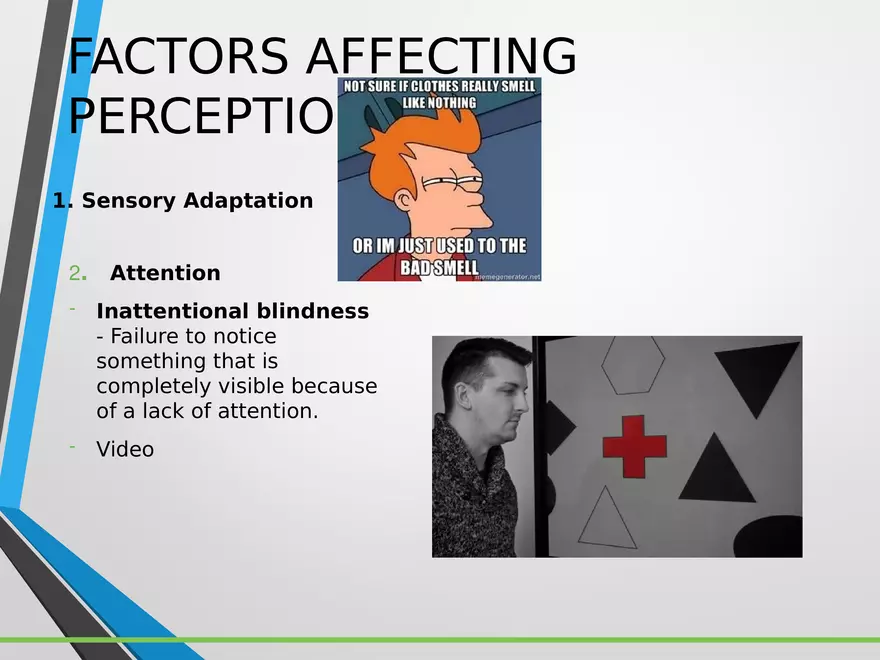 Sensation and Perception Lecture 2 - Page 3