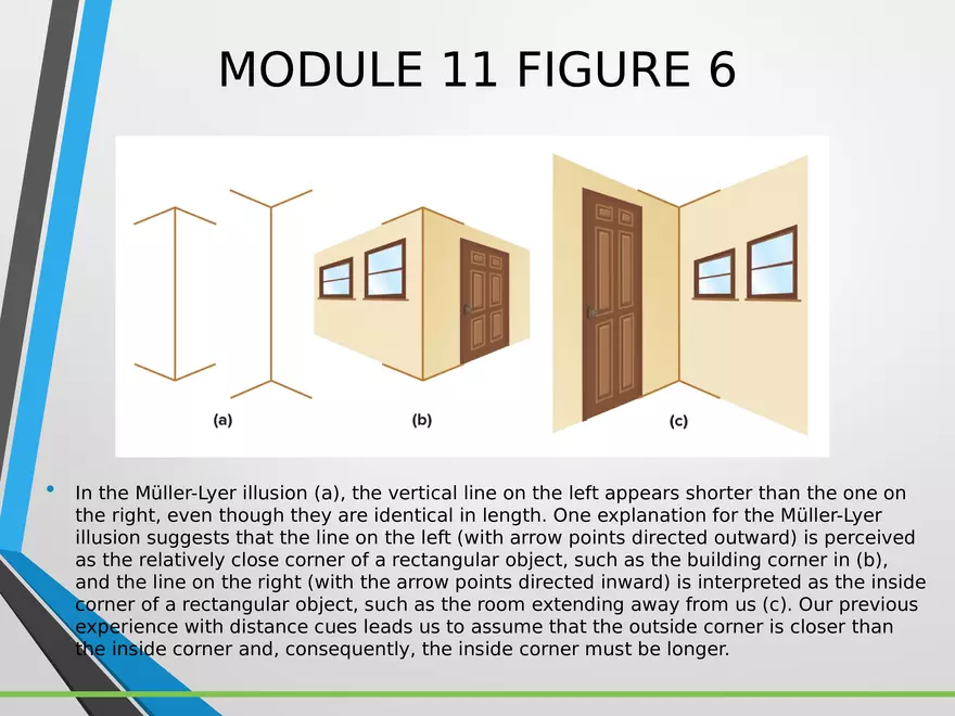 Sensation and Perception Lecture 2 - Page 6