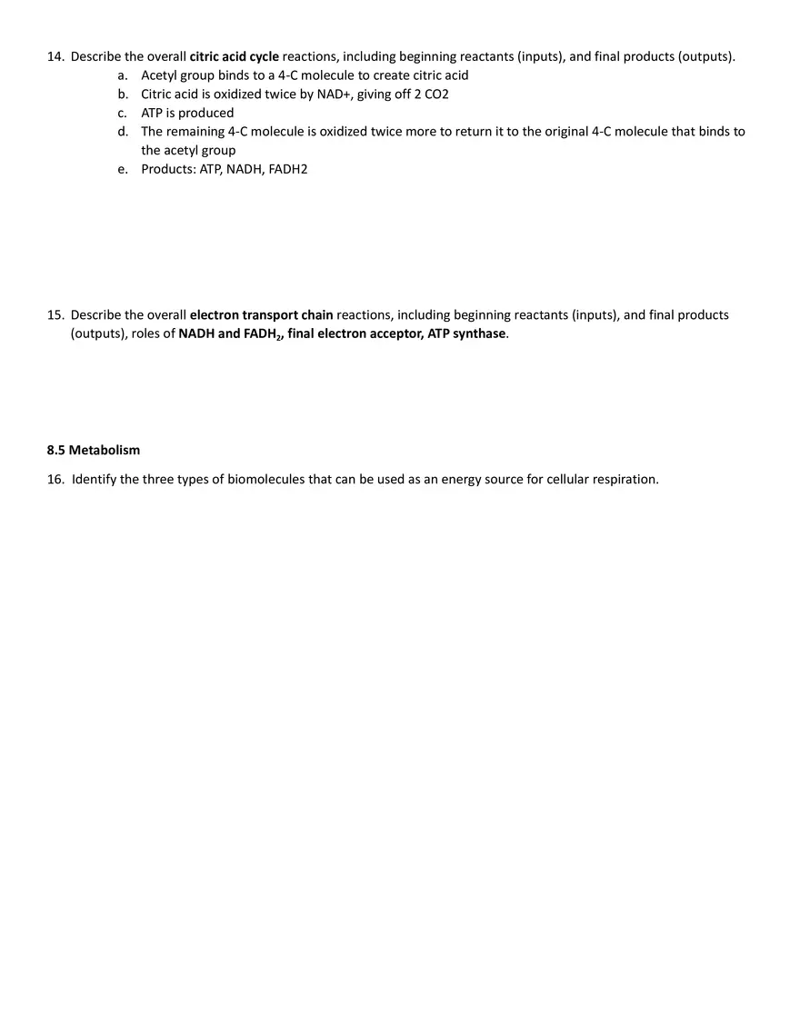 Chapter 8 Cellular Respiration - Page 3