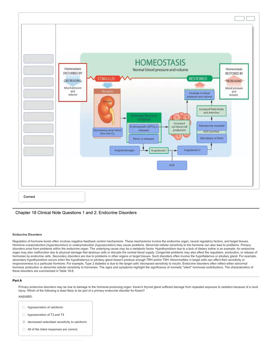 Art-labeling Activity The Thyroid Gland - Page 2
