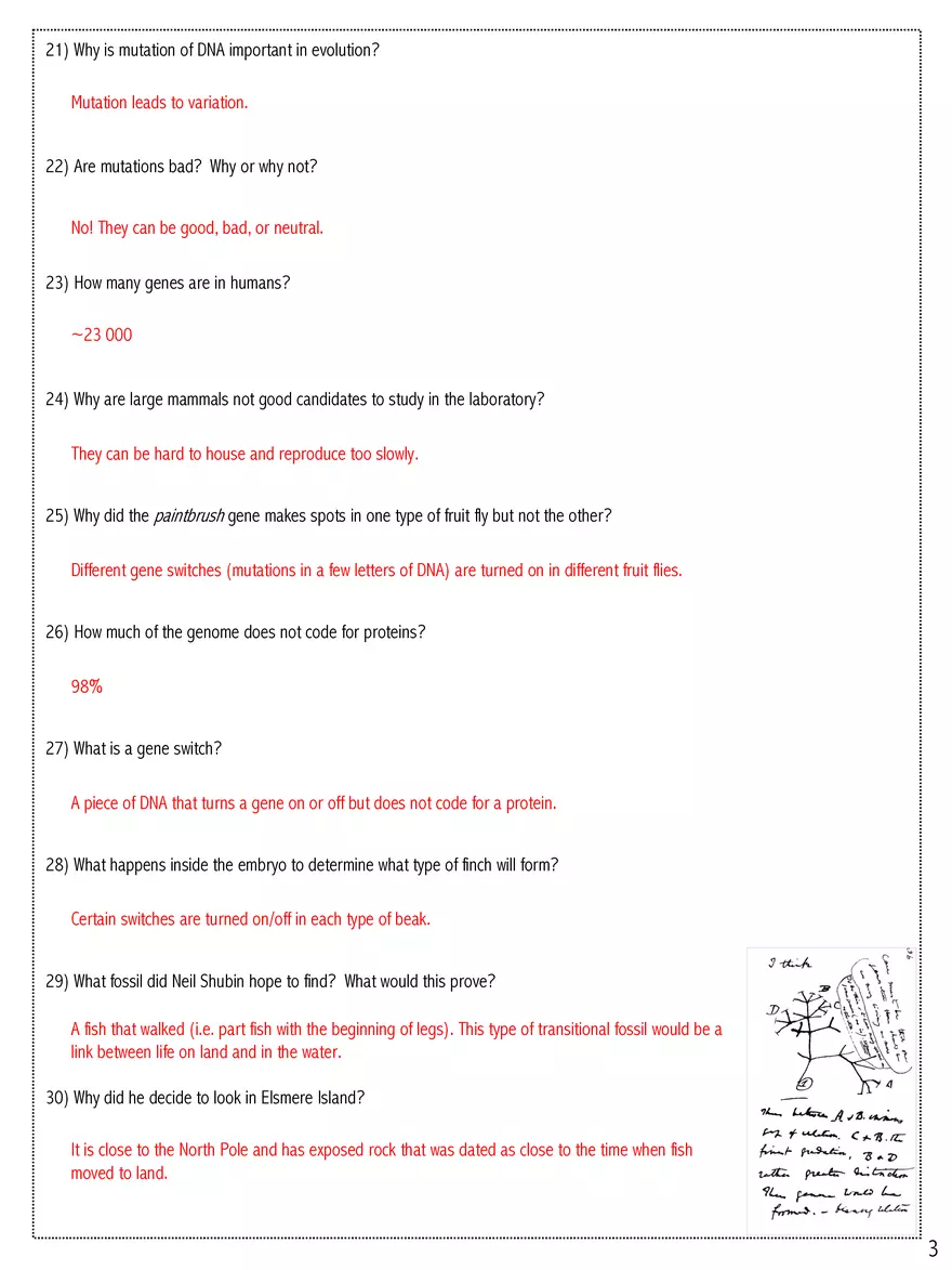What Darwin Never Knew Answer Key - Page 3