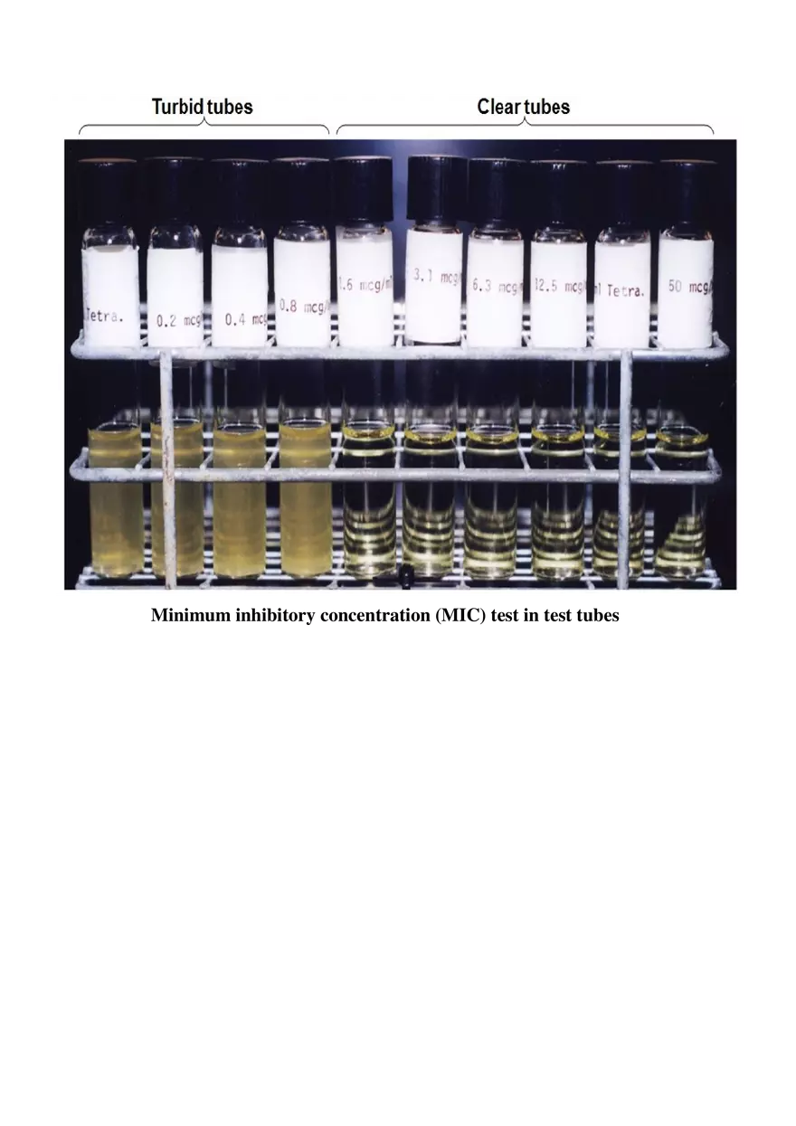 Determination of Minimum Bactericidal Concentration (MBC) - Page 2