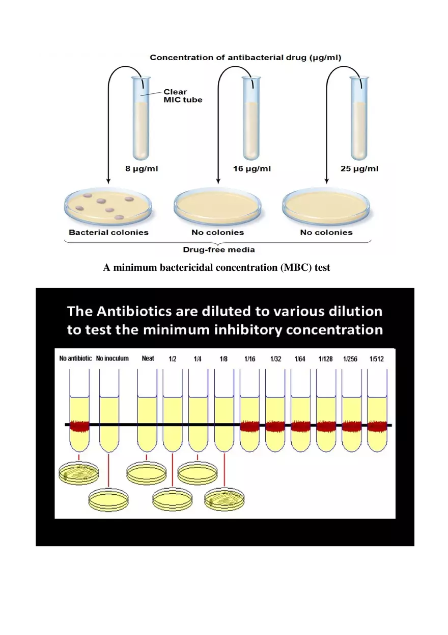 Determination of Minimum Bactericidal Concentration (MBC) - Page 3
