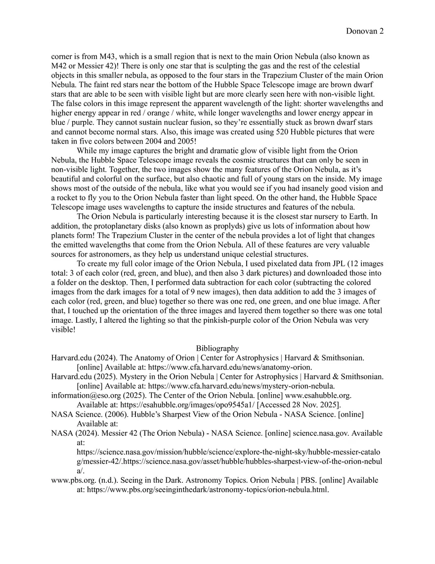 Orion Nebula Report - Page 2