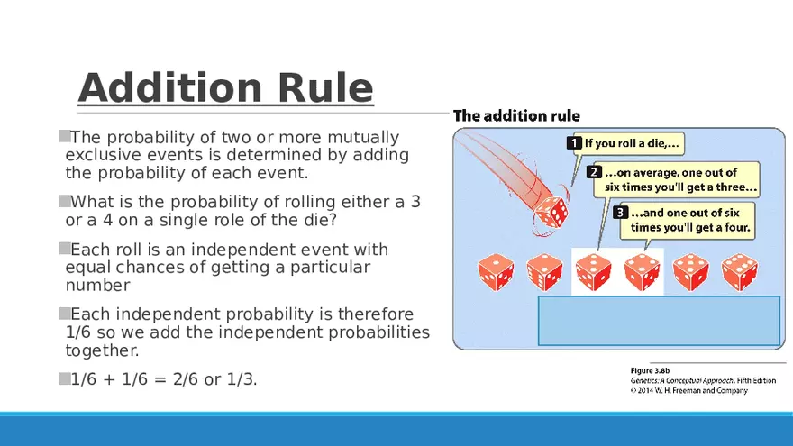 Summary of Aneuploidies Part 5 - Page 9