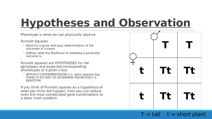 Summary of Aneuploidies Part 5 - Page 1