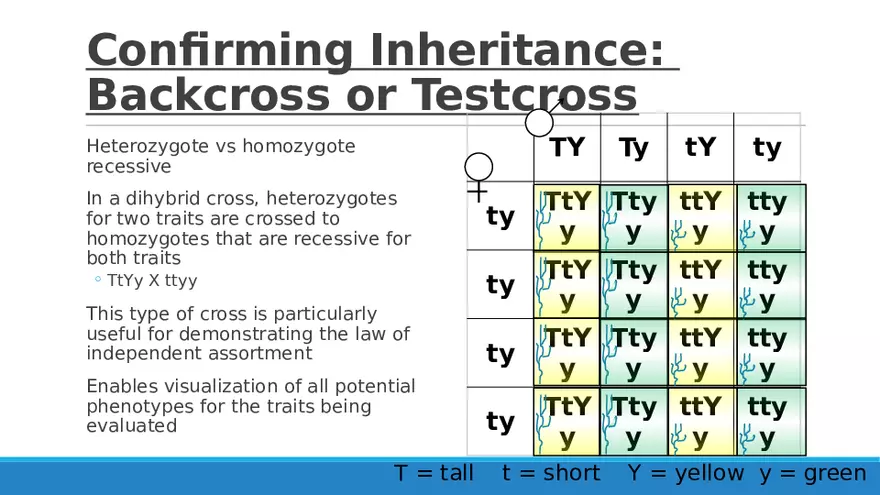 Summary of Aneuploidies Part 5 - Page 2
