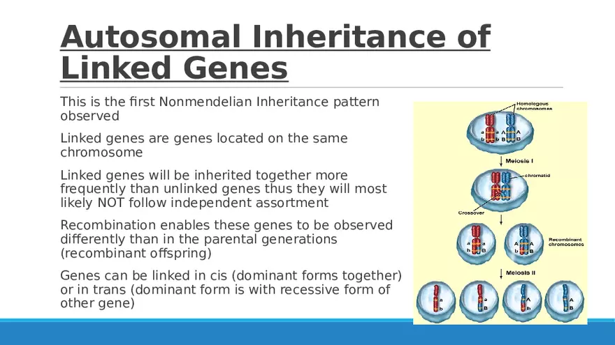 Summary of Aneuploidies Part 5 - Page 3