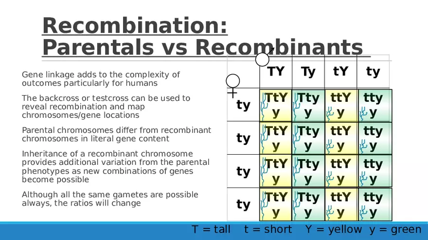 Summary of Aneuploidies Part 5 - Page 4